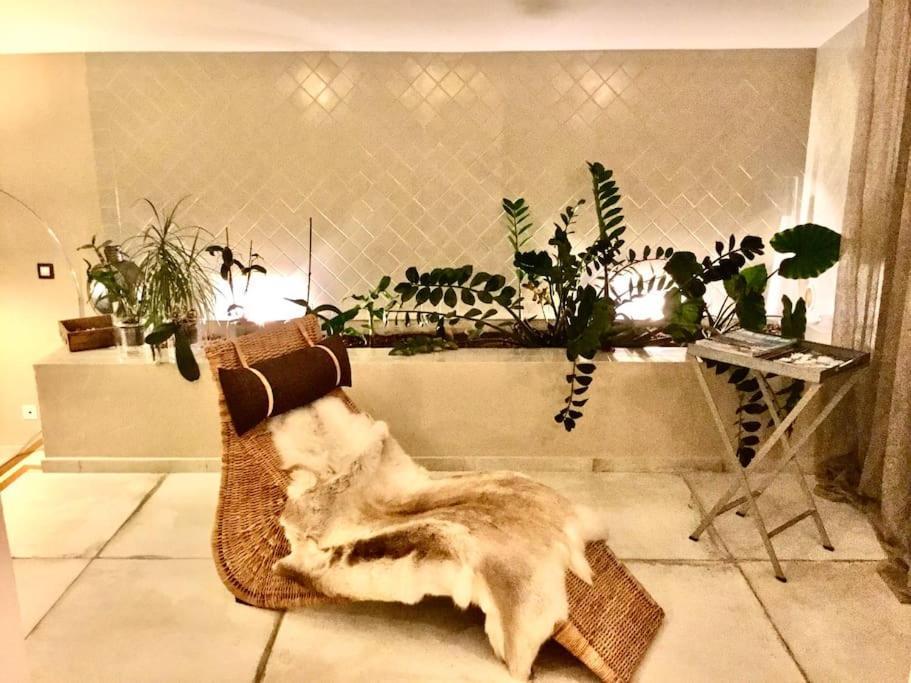 La Maison Du Bonheur F5 Jardin Et Piscine 纳博讷 外观 照片